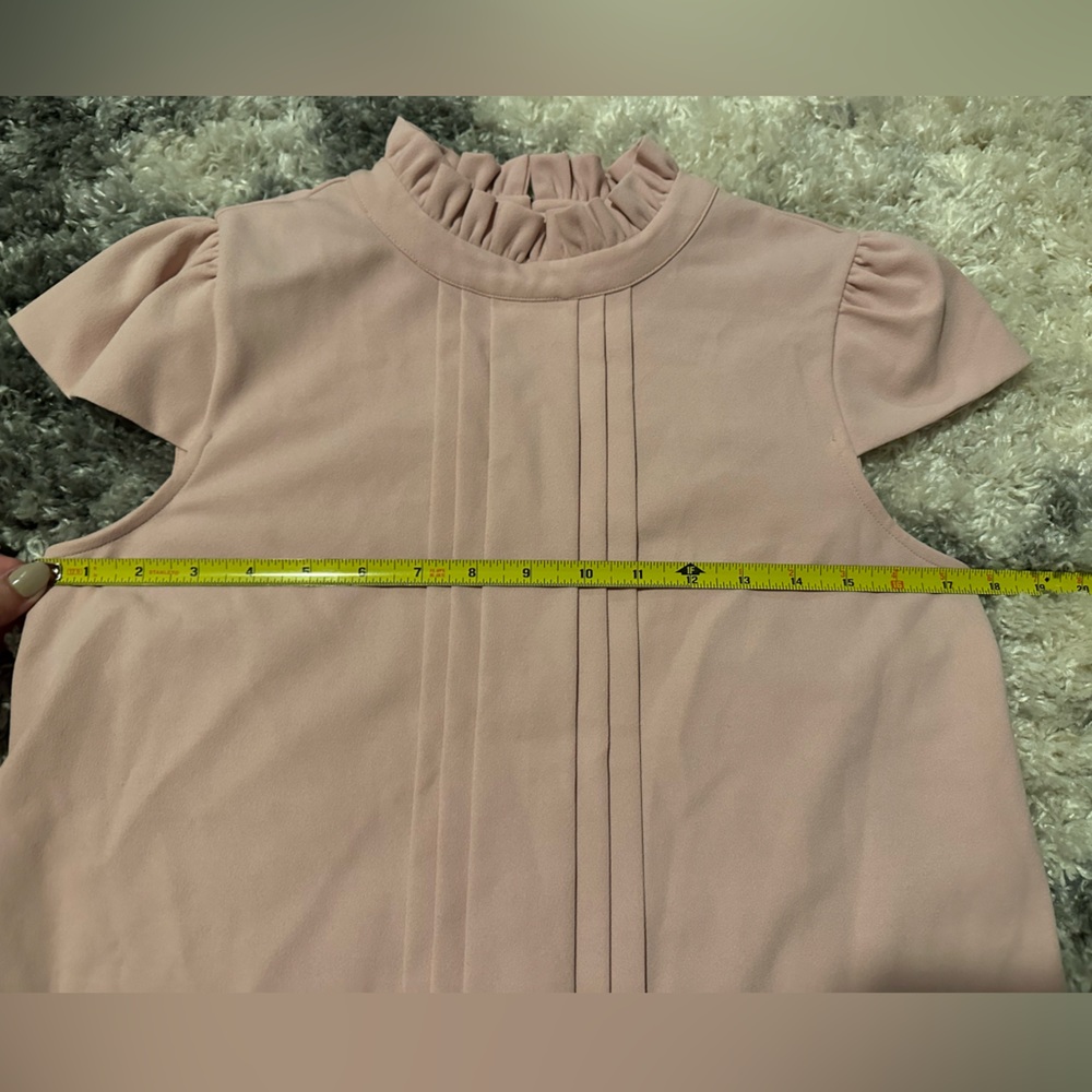 Ann Taylor | Blush Ruffle Blouse - Picture 9 of 9